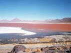 Laguna Colorada (Red Lagoon) with borax islands and flamingos as little specs, Eduardo Avaroa National Reserve , Southern Cordillera Occidental, Potosi, Bolivia